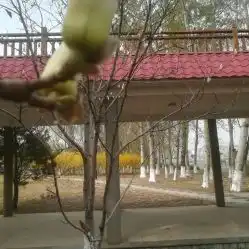 电话地址价格营业时间怀柔区景点团购怀柔区周边游