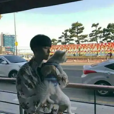 测试一个超长简介的文章