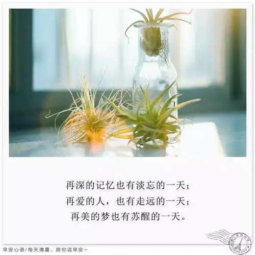 简短早安心语正能量早安正能量语录励志