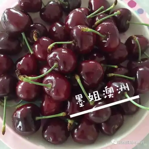 从枝头到舌尖只需48小时的澳洲车厘子迎来最美味的时刻怪不得被称为少女的果实,尝过了,便惦记上一整年