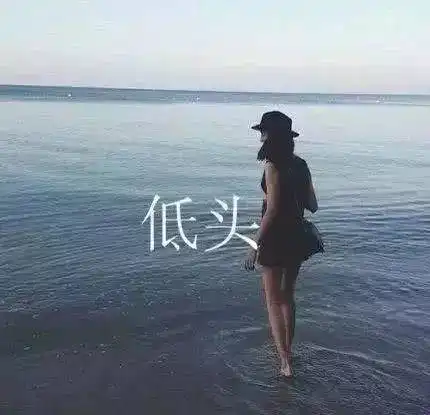 测试一个超长简介的文章