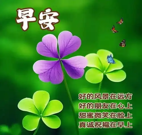 2024.3.27今日新版早上好祝福图片,暖心早安问候语句子