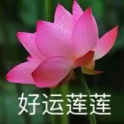 全民乐639