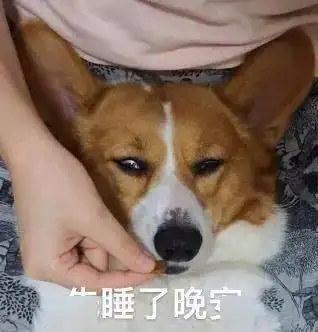 为了拒绝吃狗粮,我家狗子竟当场装睡