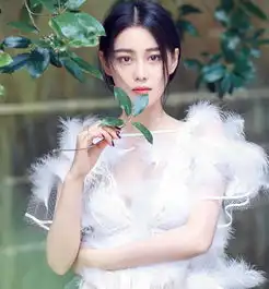 测试一个超长简介的文章