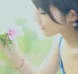 生命是飘泊的云,心是执着的风
