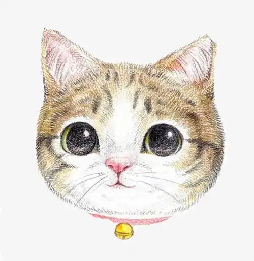卡通手绘小猫png图片素材免费下载手绘卡通png500514像素熊猫办公