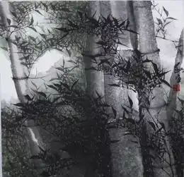 这青青翠竹,真是赏心悦目