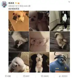 范冰冰李晨穿校服合影盘点新晋校花和劳动委员的秀恩爱历史
