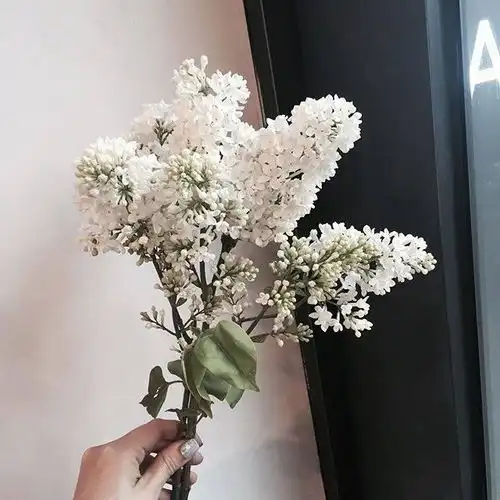人生苦短,何必表演,随心随缘,顺其自然