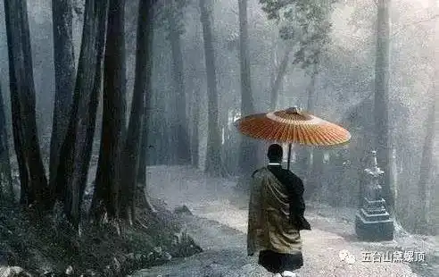 禅语禅音碌碌无为的流浪汉