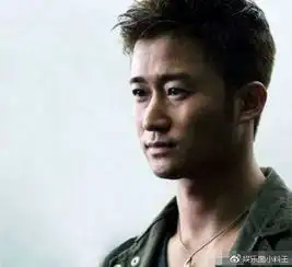吴京表情包,谢楠的参与京图大势所趋,有新鲜感的是京喜