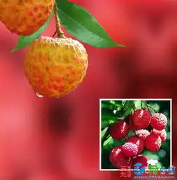 上火吃什么好教你灭火的食疗方法