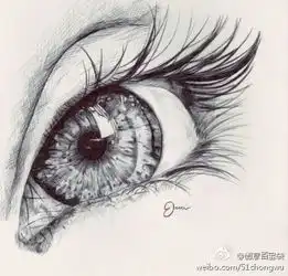 活灵活现的铅笔画
