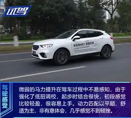 颜智再进化试驾2020款weyvv5
