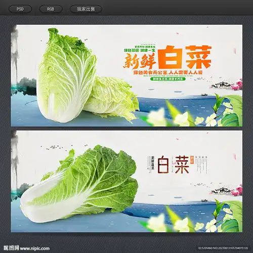 白菜设计图