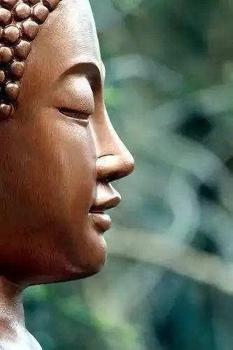 一日一禅丨一切浮云,不足炫耀