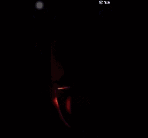 网友纷纷晒出与父母的聊天记录这届中年人各个都是野生艺术家