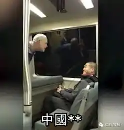 我恨你们这些中国蠢货白人地铁上大骂,还动手打人......