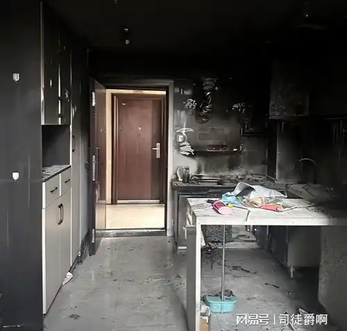 笑不活了小猫咪开电磁炉致家中失火,损失十万,如今开直播还债