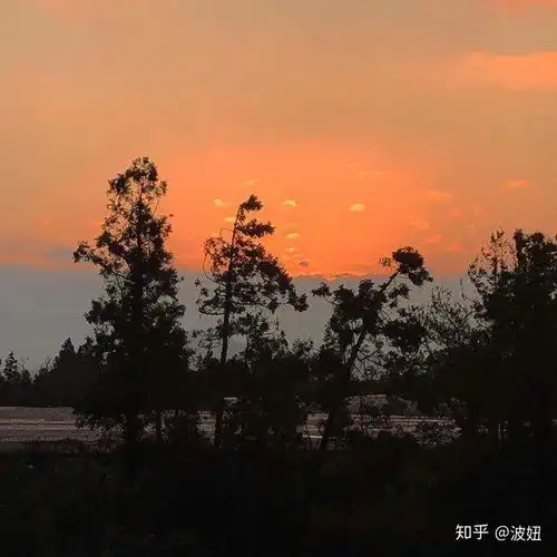 我想求一点可以搭配文案的图