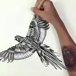 国外设计师手绘的3d立体效果动物禅绕画