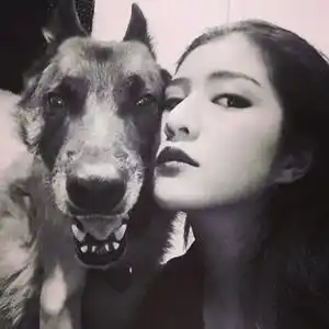 猛女狼狗