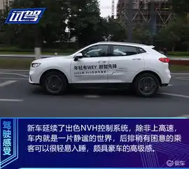颜智再进化试驾2020款weyvv5