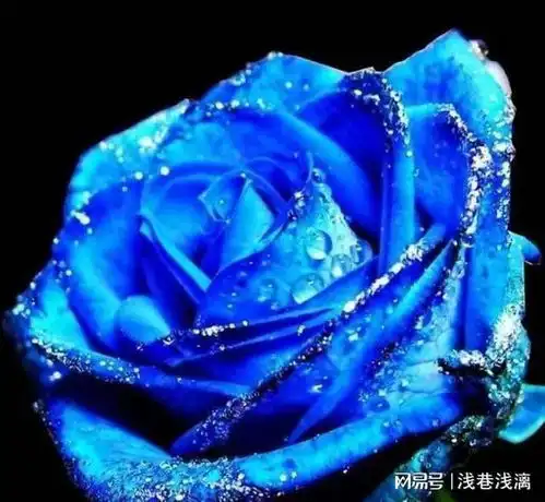 世上难觅有情人,世上难得知心爱人,世间男女寻寻觅觅不倦怠