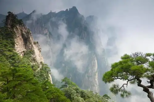 可喜可贺7号后3大生肖能聚财八方,事业顺风顺水,万事丰隆