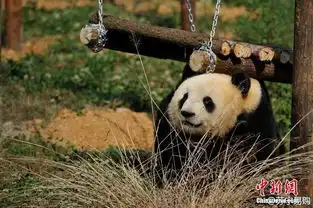 网页链接