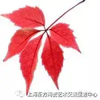 中药国粹文化传承小中医山楂蜜丸制作