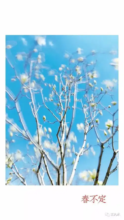 你不是忧郁,是心里不得劲儿