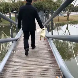 siva笑点检测站当代大学生快乐速成手册
