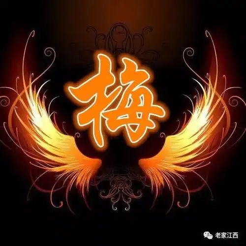 最全200个百家姓火焰头像,快来免费领取,喜欢就收藏起来吧