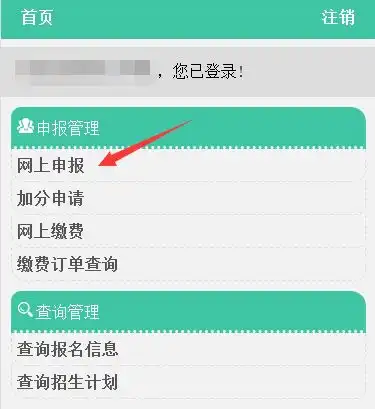 测试一个超长简介的文章