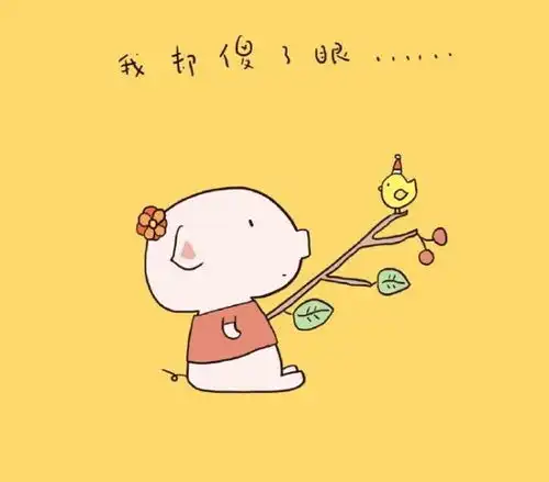 qq空间转发破万的搞笑段子,句句精辟,让人笑出眼泪