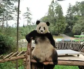 测试一个超长简介的文章