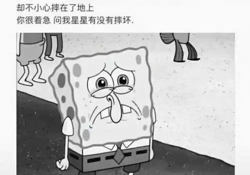 你说你喜欢星星,那我便给你摘