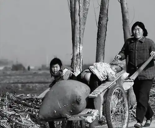 东北大妈出国当保姆,嫁大22岁荷兰大爷,得癌症12年老外不离不弃