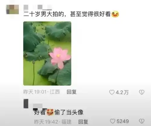 中华血脉觉醒,年轻人终究变老年审美