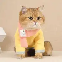 chuxingjia猫狗通用服饰chuxingjia狗狗雨衣全包卡通防水四脚小型犬幼犬防水泰迪比熊小狗宠物雨衣黄色小鸭子s多少钱