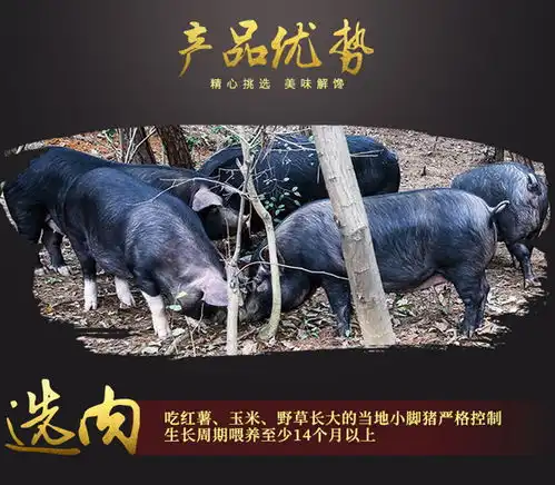 云南火腿图片介绍