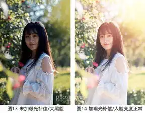 新手如何拍好逆光小清新人像