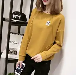 韩版原宿风学生卫衣,加绒加厚打底衫型,质量只要10几元