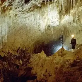 怀托摩萤火虫洞门票,奥克兰怀托摩萤火虫洞攻略地址图片门票价格