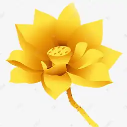 金色莲花盛开的素材图片免费下载千库网