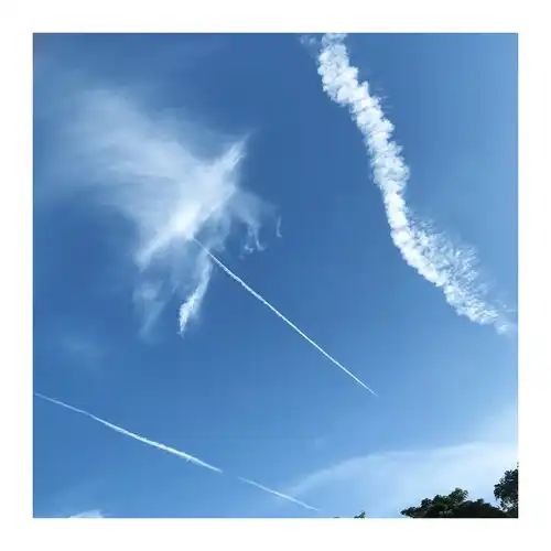 青青子衿
