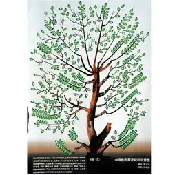 百家姓姓氏的来源和迁徙,字辈派行,看看你的祖先来自哪里1