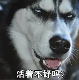 搞笑表情包带文字